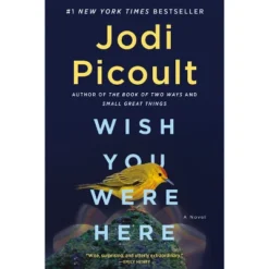WISH YOU WERE HERE - By Jodi Picoult (Paperback)