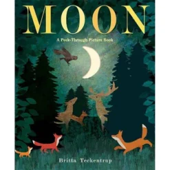 Moon - By Britta Teckentrup (Hardcover)